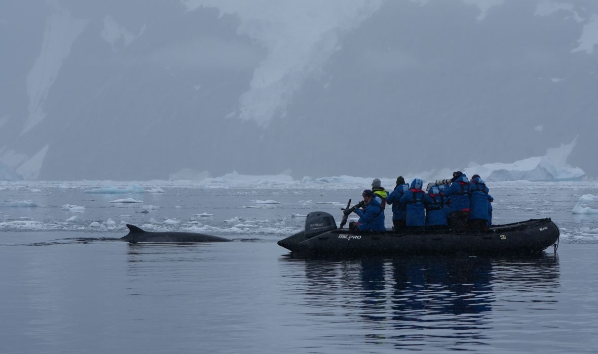 Guests happily spotting a minke whale.