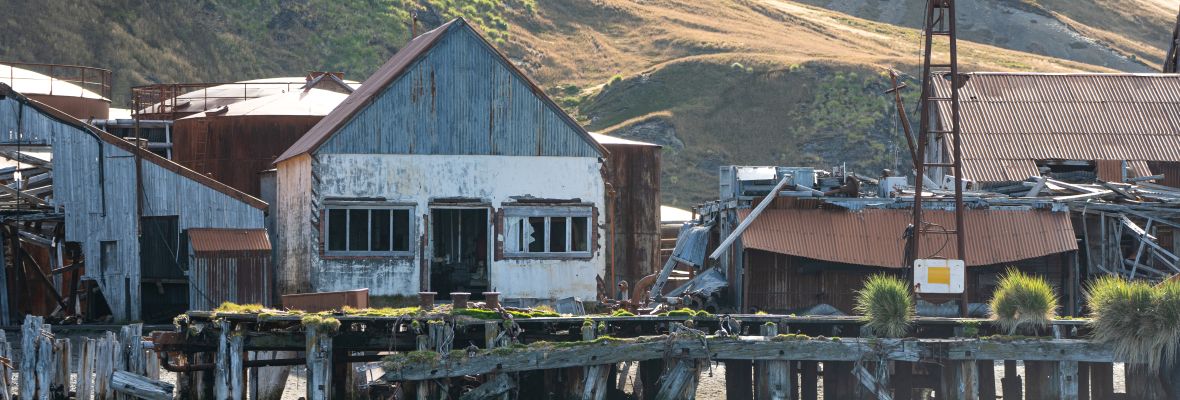 The remains of the whaling period, reclaimed by nature, South Georgia