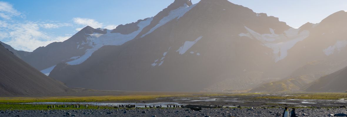 The majesty of South Georgia