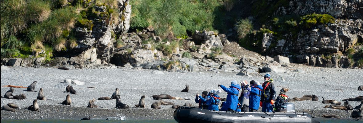 Enjoying a Zodiac cruise searching for wildlife on South Georgia