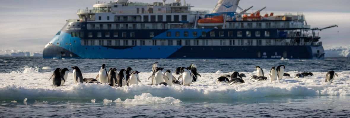 Adelie penguins welcome the Ocean Victory to Antarctica