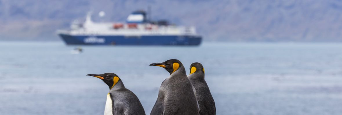 Penguins and Ocean Atlantic Penguins and Ocean Atlantic