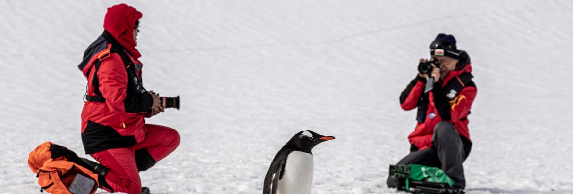 Close encounter with a penguin Close encounter with a penguin