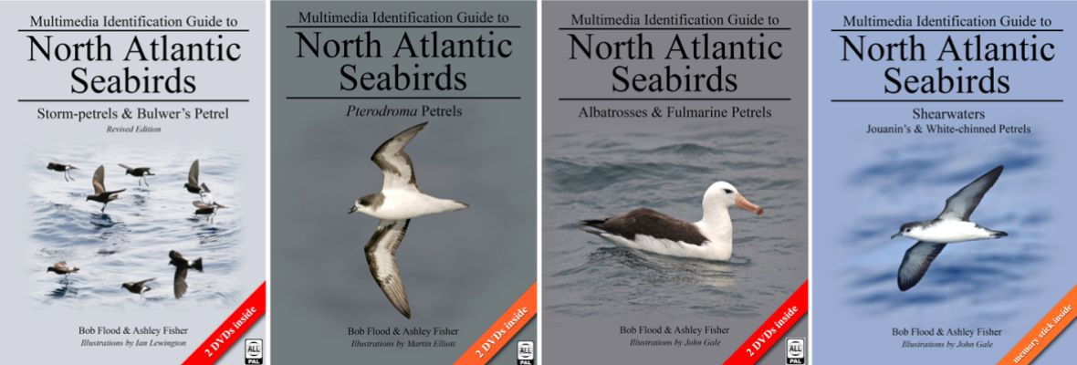 Books written by seabird expert, Robert Flood Books written by seabird expert, Robert Flood
