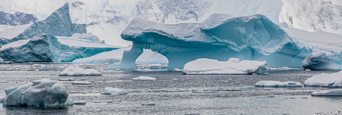 Icebergs at Cuverville Island - nature's ice sculptures