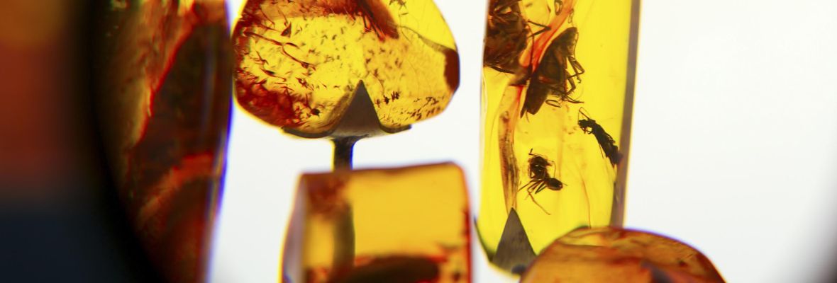 Klaipéda is known for its amber. It was and is an important trading object Klaipéda is known for its amber. It was and is an important trading object