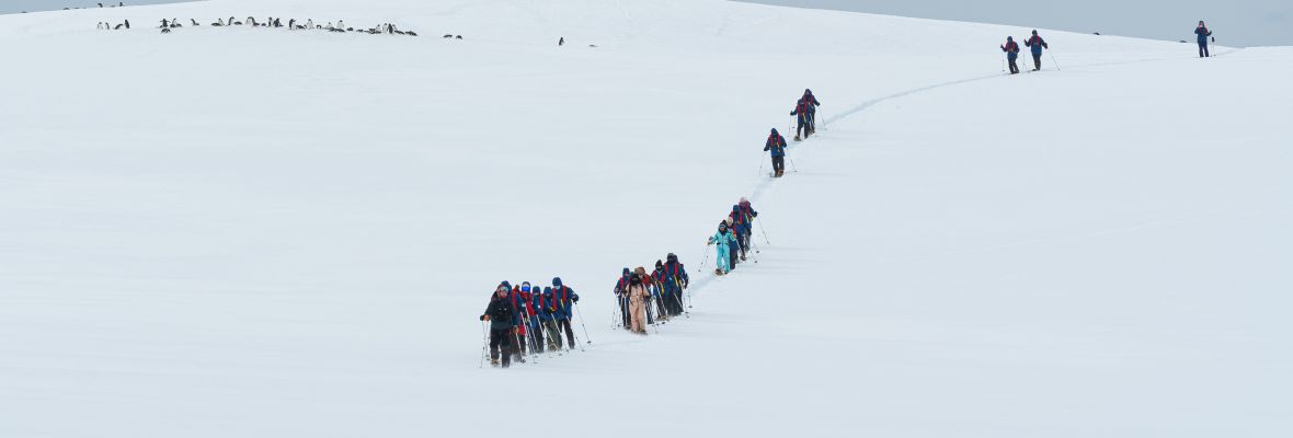 Trekking across Damoy Point