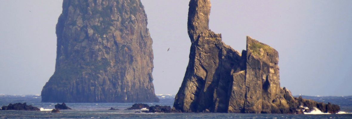 Cliffs near Gough island