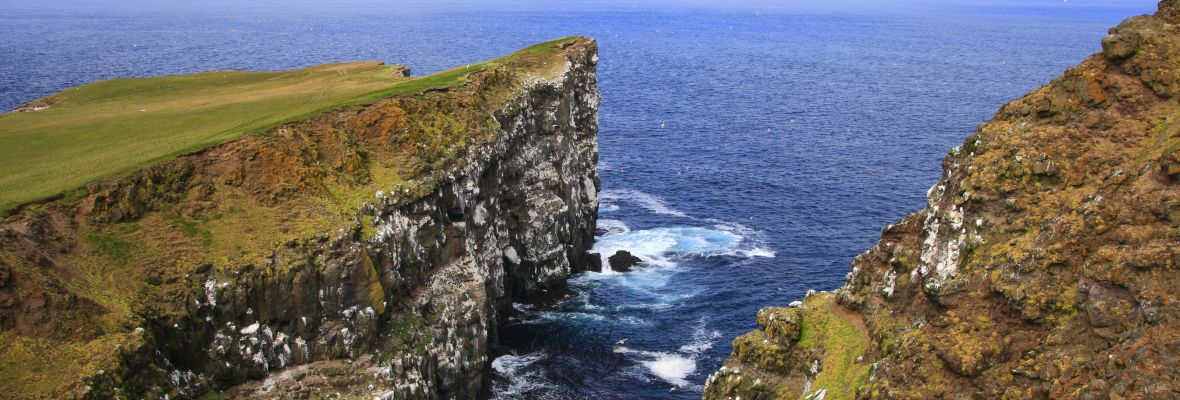 Coastline and bird cliffs of Grímsey Coastline and bird cliffs of Grímsey