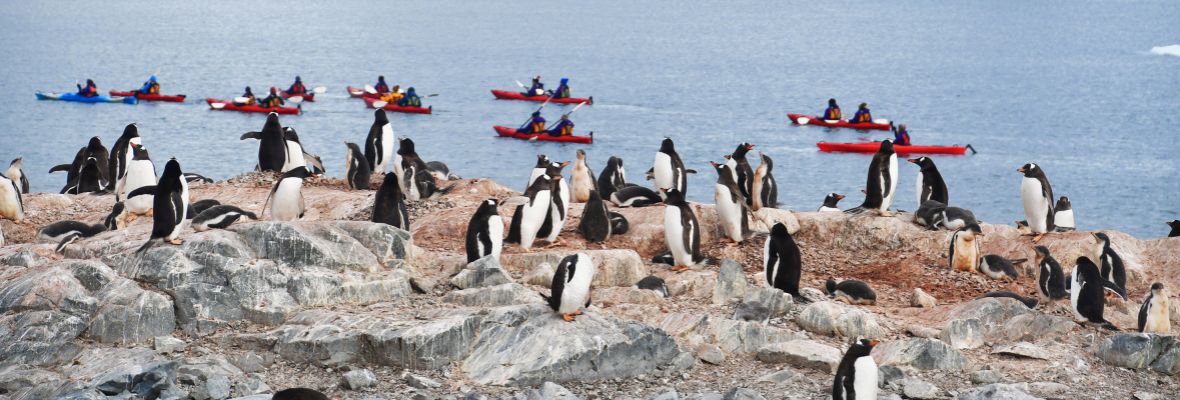 Kayaking at Cuverville Island