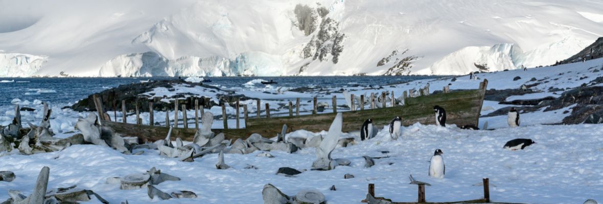 Remains from the Antarctic whaling era, Mikkelsen Harbour, Antarctica Remains from the Antarctic whaling era, Mikkelsen Harbour, Antarctica