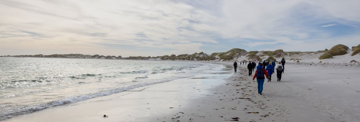 Beach at Stanley, Falkland Islands