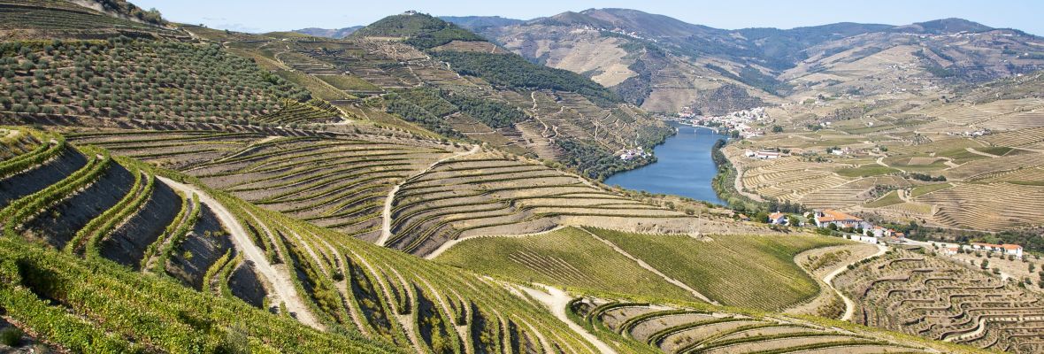 The beautiful Duoro Valley, Porto, Portugal