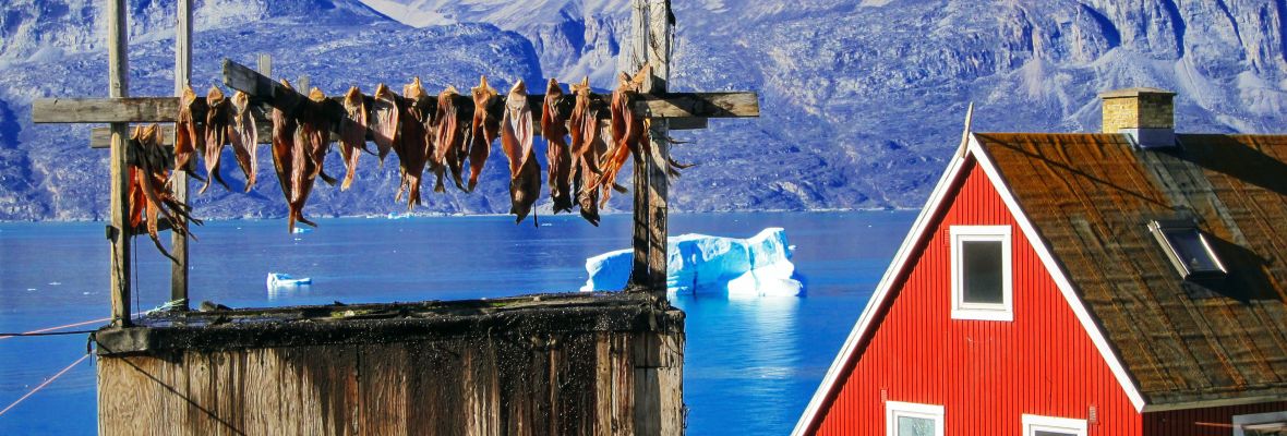 Drying fish with a view, Uummannaq, Greenland