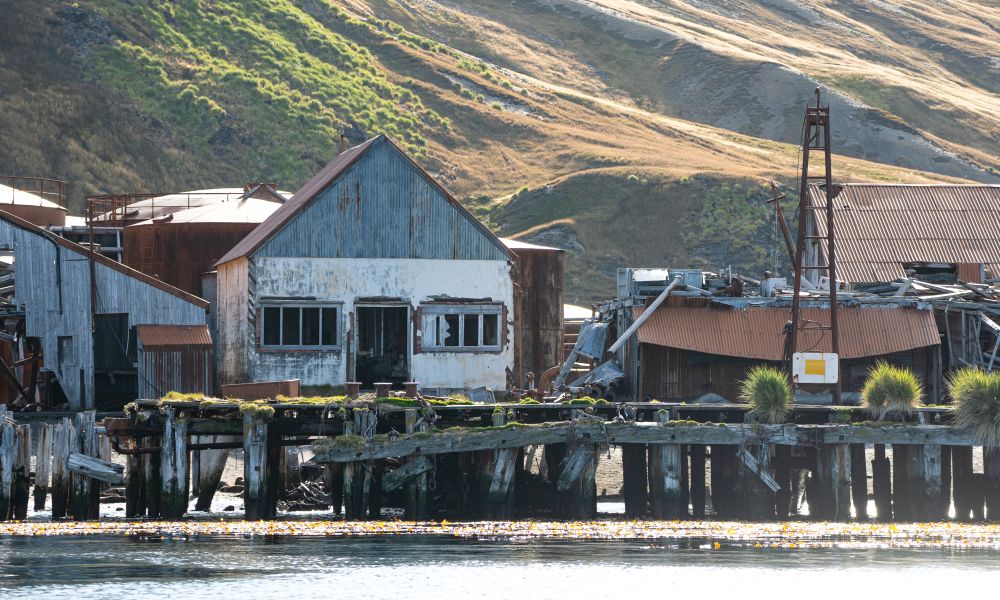 The remains of the whaling period, reclaimed by nature, South Georgia The remains of the whaling period, reclaimed by nature, South Georgia