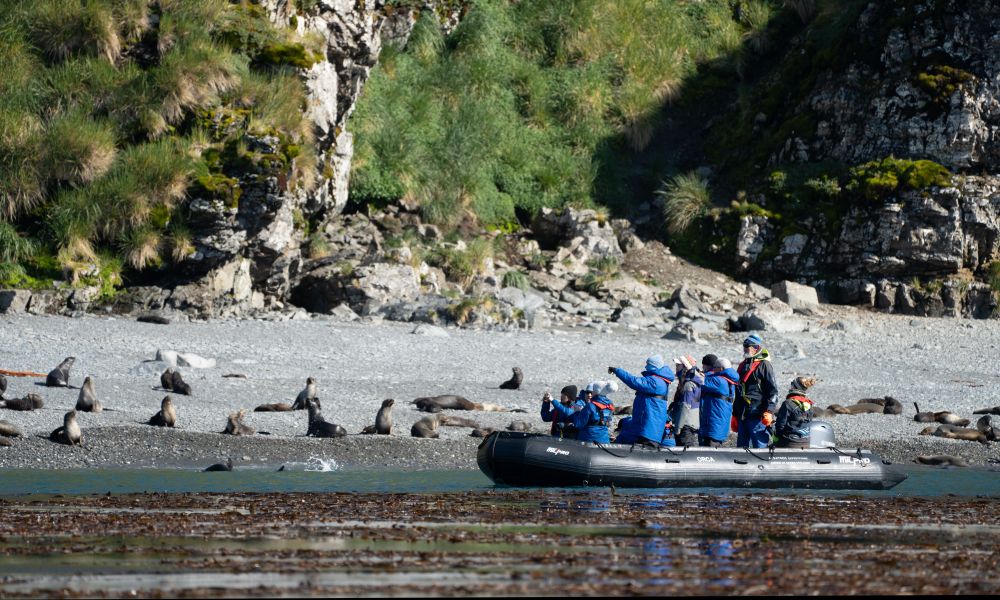 Enjoying a Zodiac cruise searching for wildlife on South Georgia Enjoying a Zodiac cruise searching for wildlife on South Georgia