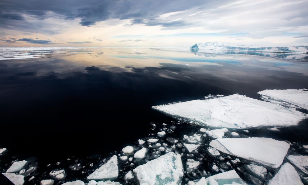 The icy waters of the Weddell Sea The icy waters of the Weddell Sea