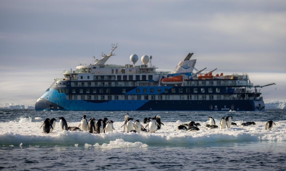 Adelie penguins welcoming us to their domain