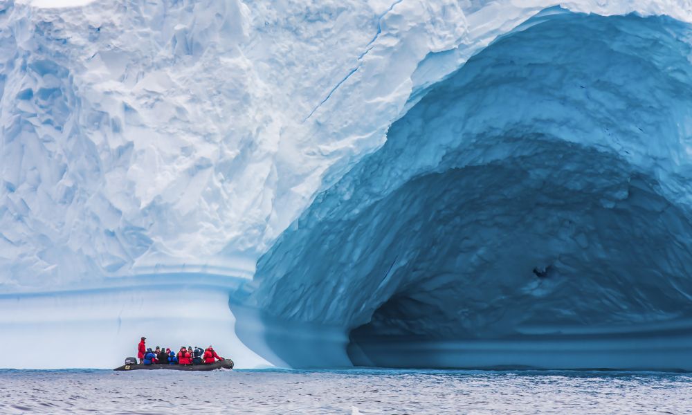 Dwarfed by the giants of the Southern Ocean Dwarfed by the giants of the Southern Ocean