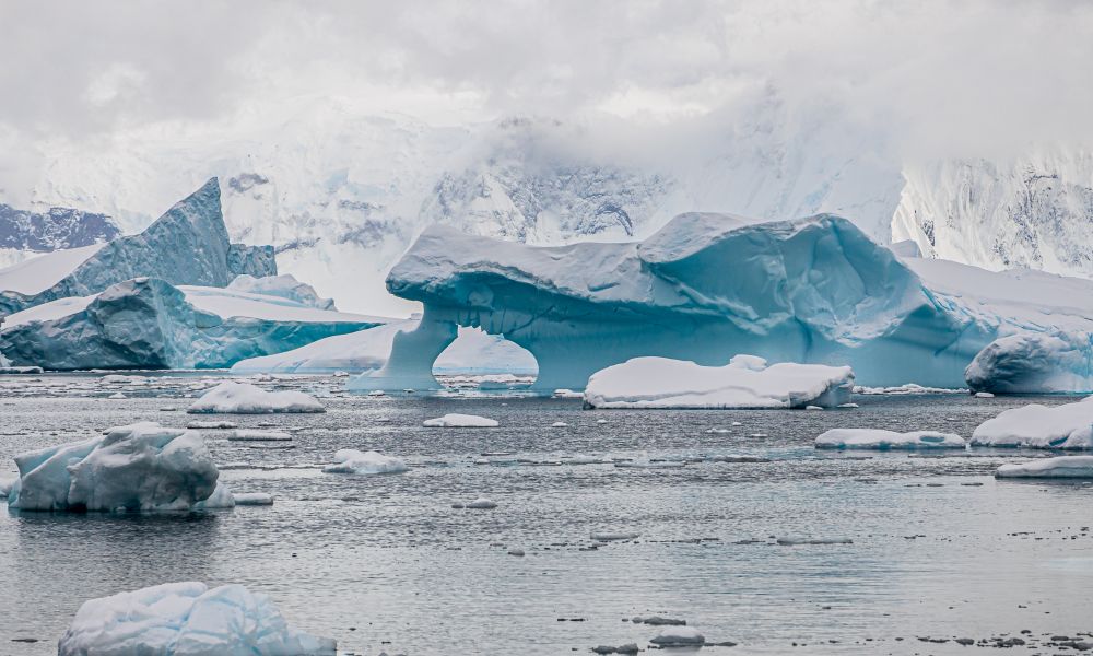 Icebergs at Cuverville Island - nature's ice sculptures Icebergs at Cuverville Island - nature's ice sculptures