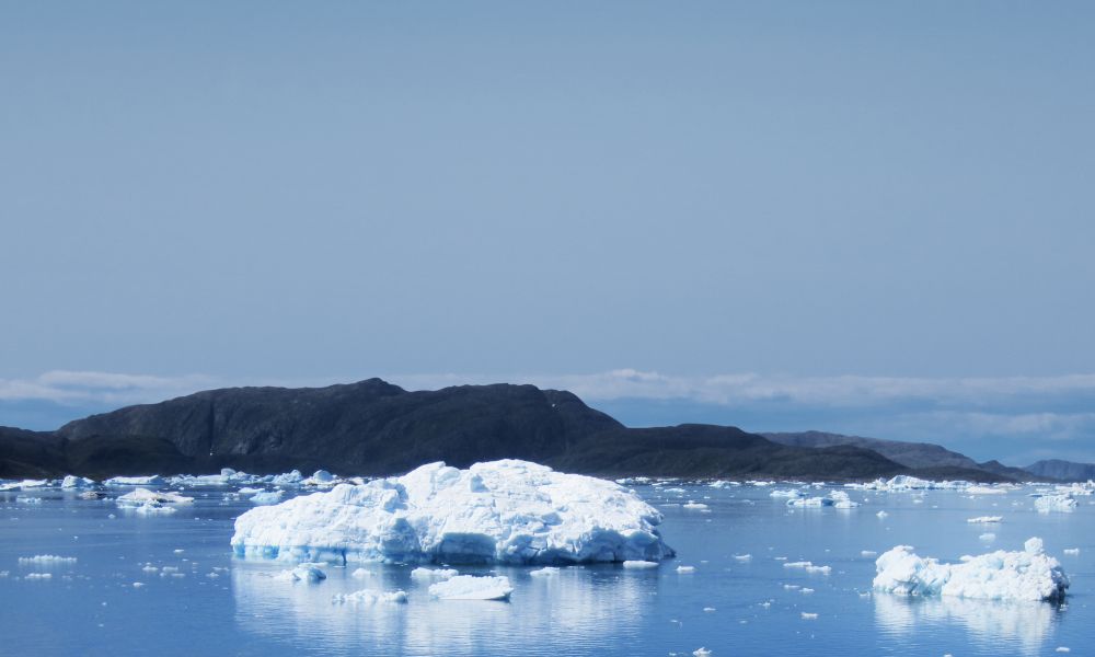 Icebergs in South Greenland