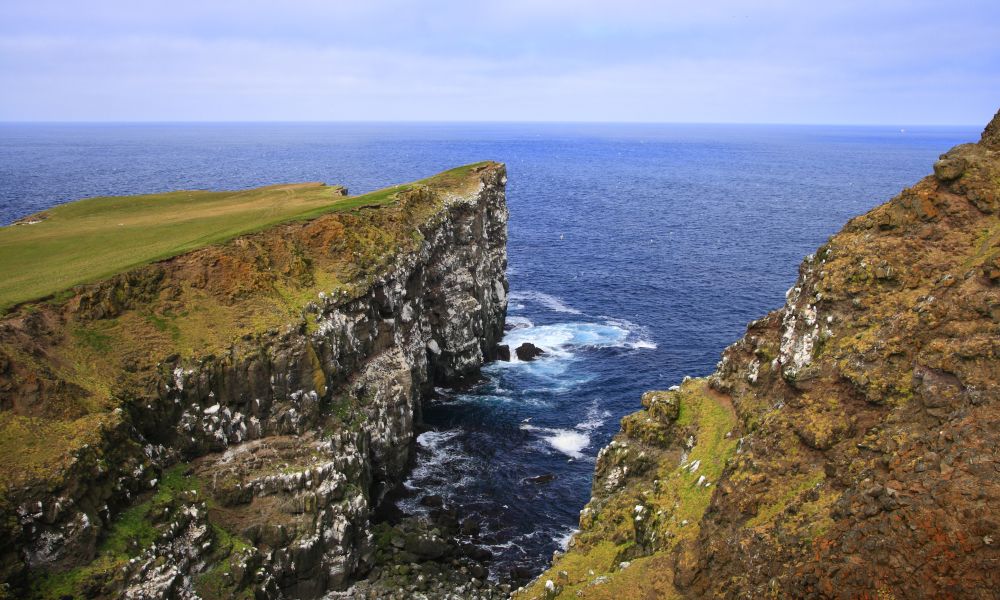 Coastline and bird cliffs of Grímsey Coastline and bird cliffs of Grímsey