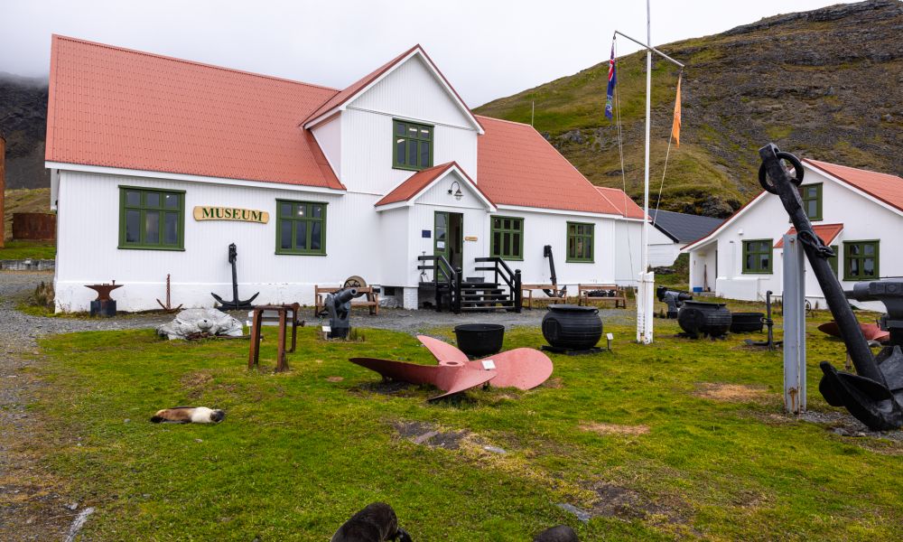 South Georgia Museum in Grytviken South Georgia Museum in Grytviken
