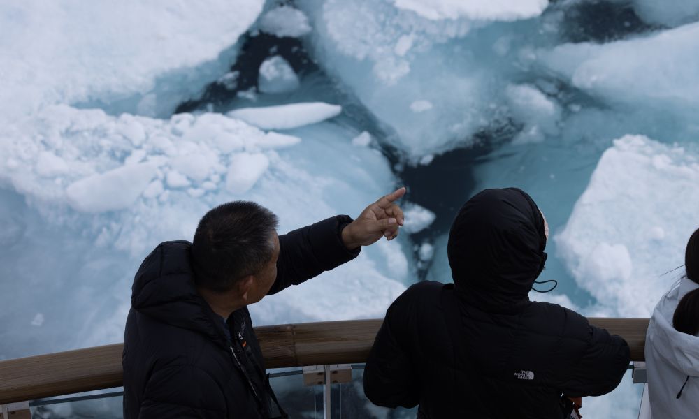 Cutting through the Pack Ice in East Greenland