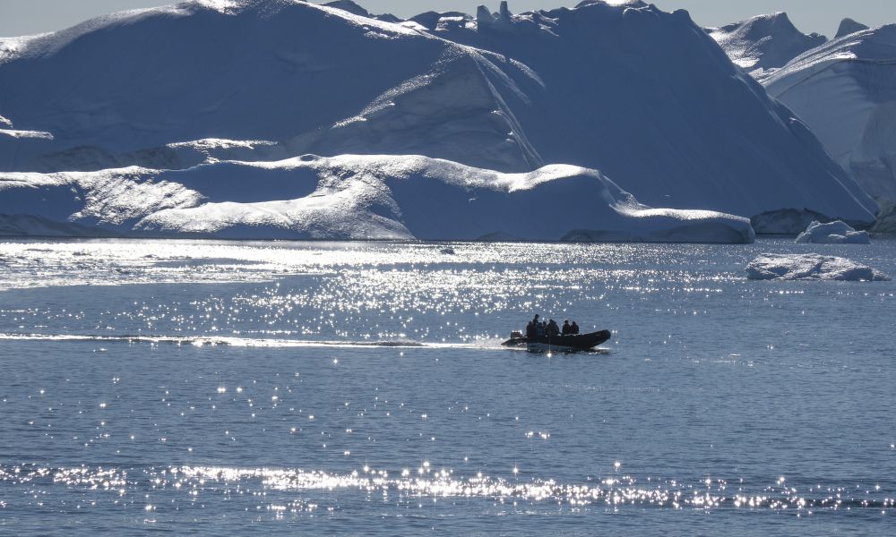 Zodiac cruising